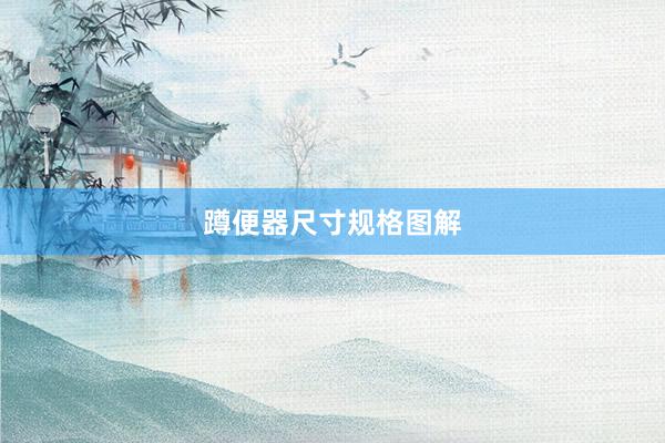 蹲便器尺寸规格图解